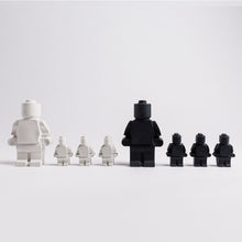Cargar imagen en el visor de la galería, Ensemble vide-poche et LEGO
