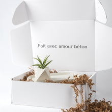 Load image into Gallery viewer, Air Plant Lovers Gift Set
