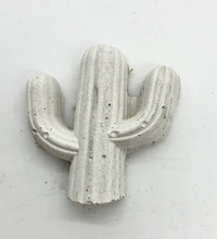 Charger l&#39;image dans la galerie, Cactus aimanté
