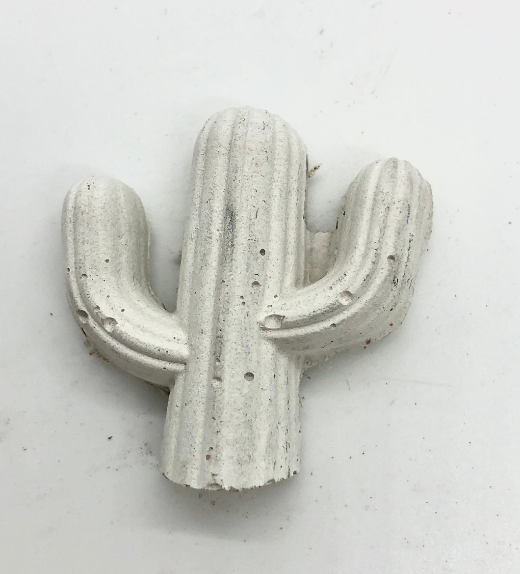 cactus magnético