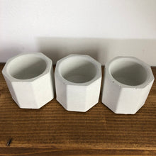 Load image into Gallery viewer, Trio de pot Jade blanc en béton Mimipots sur planche die bois
