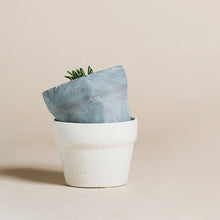 Load image into Gallery viewer, Pot de béton duo mis ensemble emboité avec petite plante dans le pot gris.
