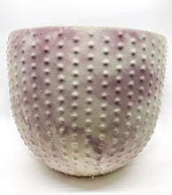 Load image into Gallery viewer, Pearl | concrete pot
